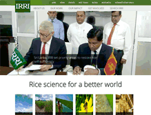 Tablet Screenshot of irri.org